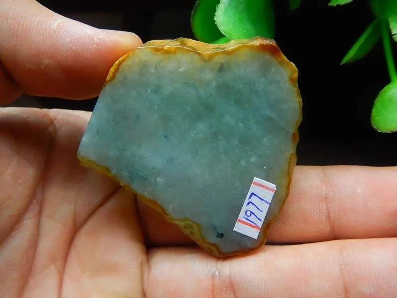 Natural Jade Rough Jadeite Raw (29g, 46X44X5.8mm)