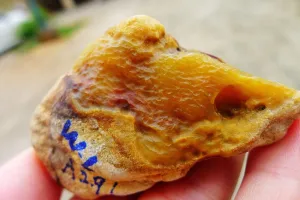 Natural Jade Rough Jadeite Raw (68g,5.7X3.4X2.5cm)