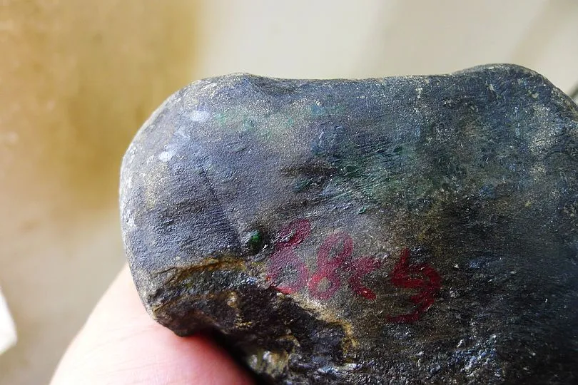Natural Jade Rough Jadeite Raw (838g,10X9.8X6.3cm)